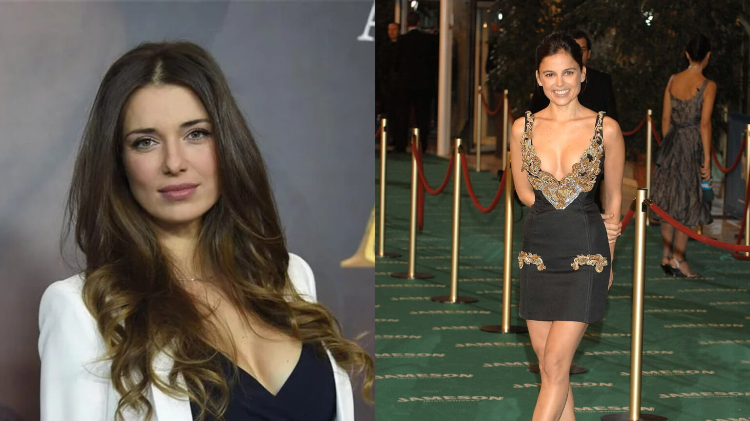 elena anaya pareja actual